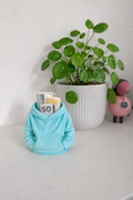 Hoodie organiser