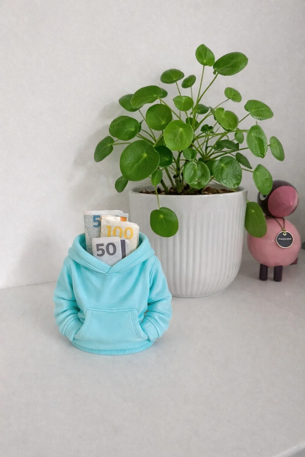 Hoodie organiser